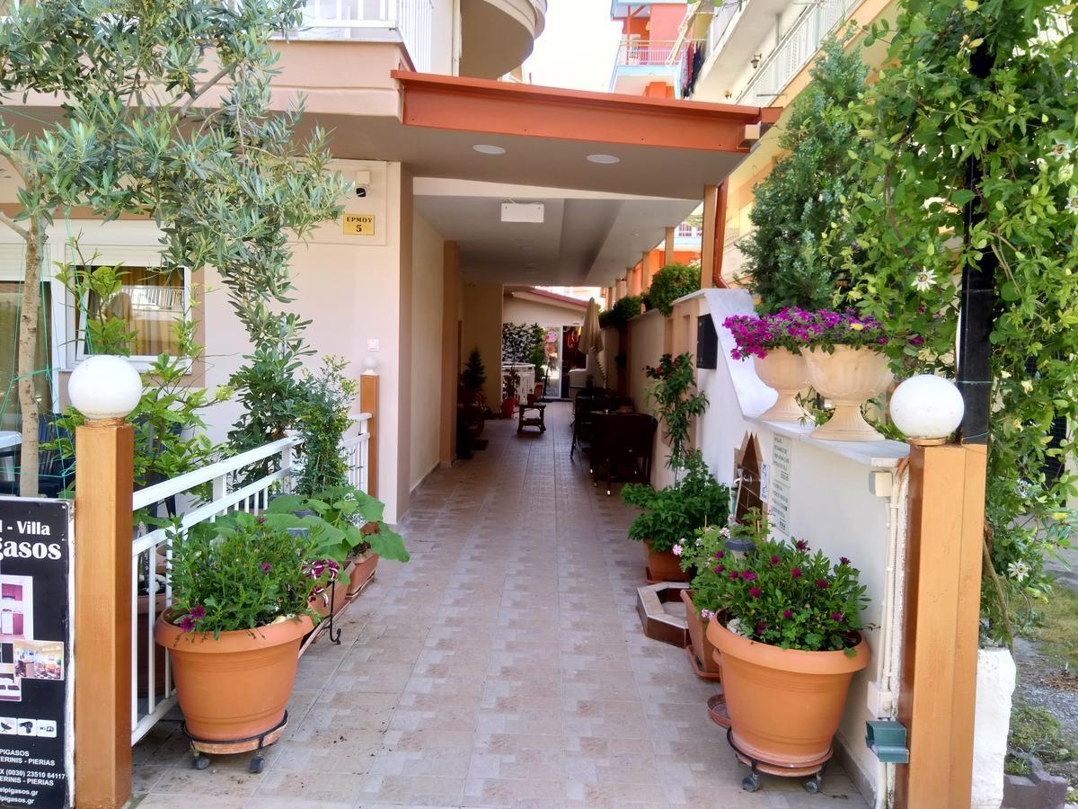Paralía Hotel Villa Pigasos المظهر الخارجي الصورة